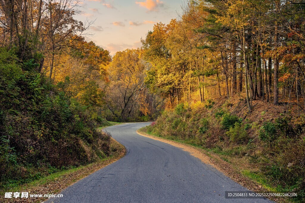 秋日蜿蜒林间公路美景