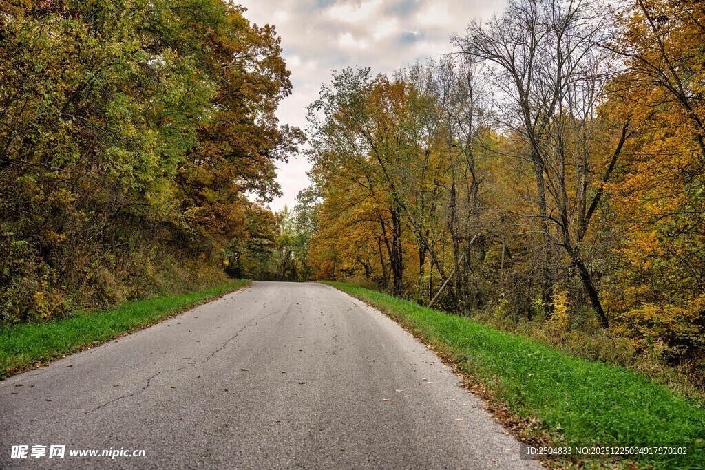 秋日林间蜿蜒公路美景