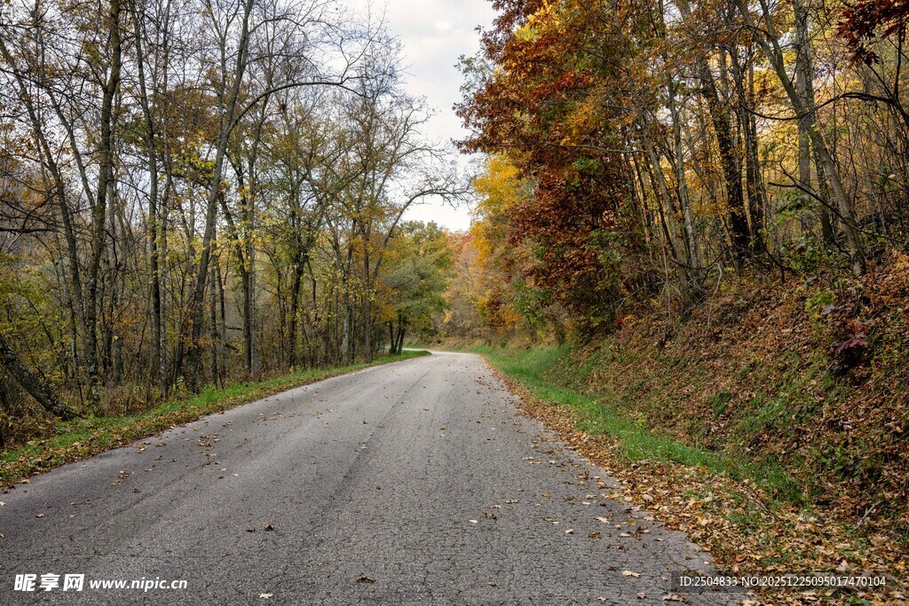 秋日林间公路美景