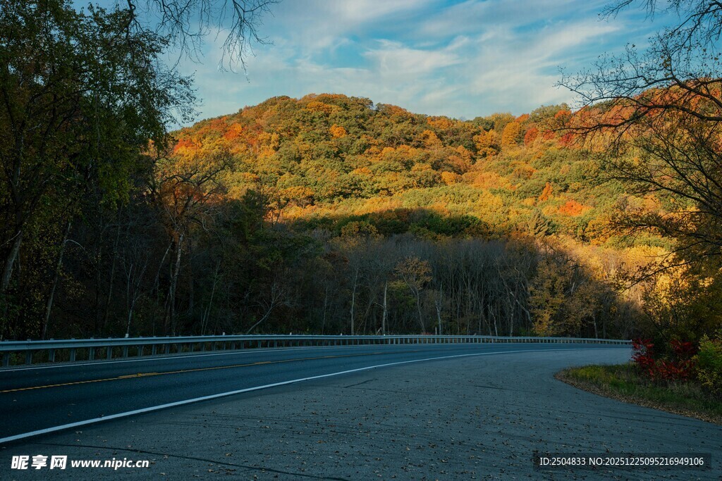 秋日林间公路美景