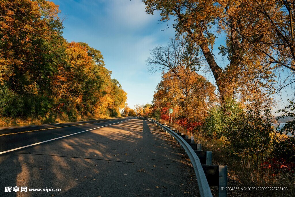 秋日林间蜿蜒公路美景