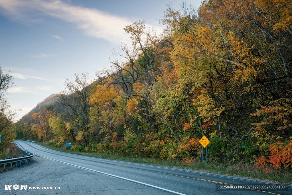 秋日公路旁斑斓树林景色
