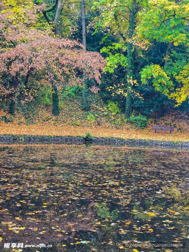 秋日湖畔斑斓景致
