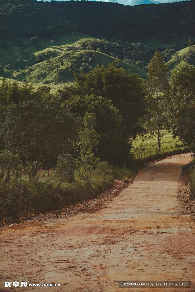 山间土路 绿意环绕的风景