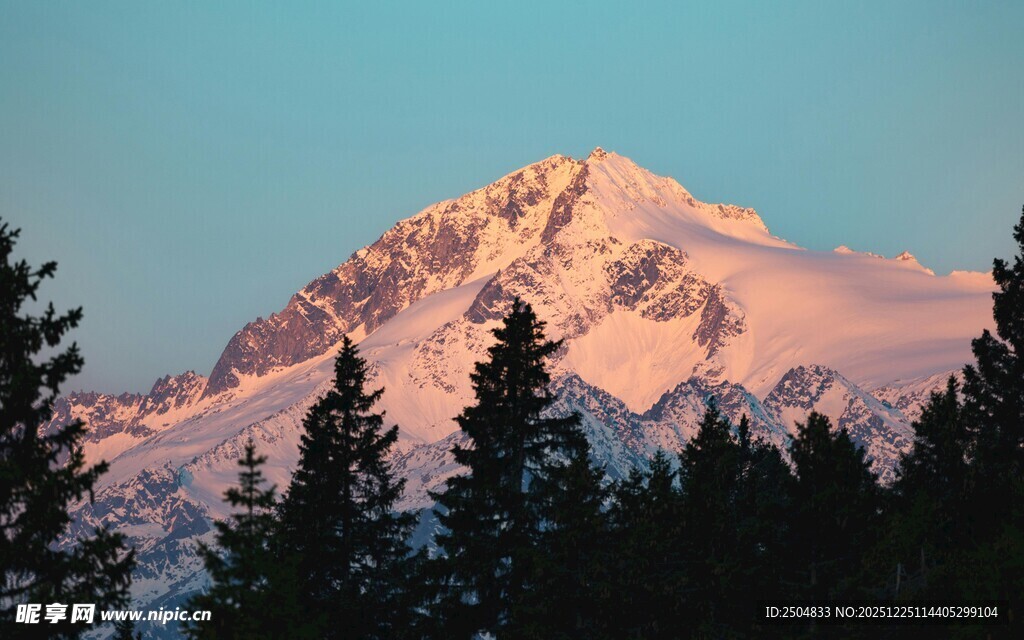 雪山映松景 壮丽自然美