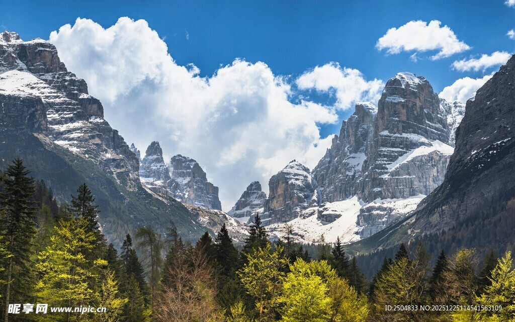 壮丽山景与葱郁森林