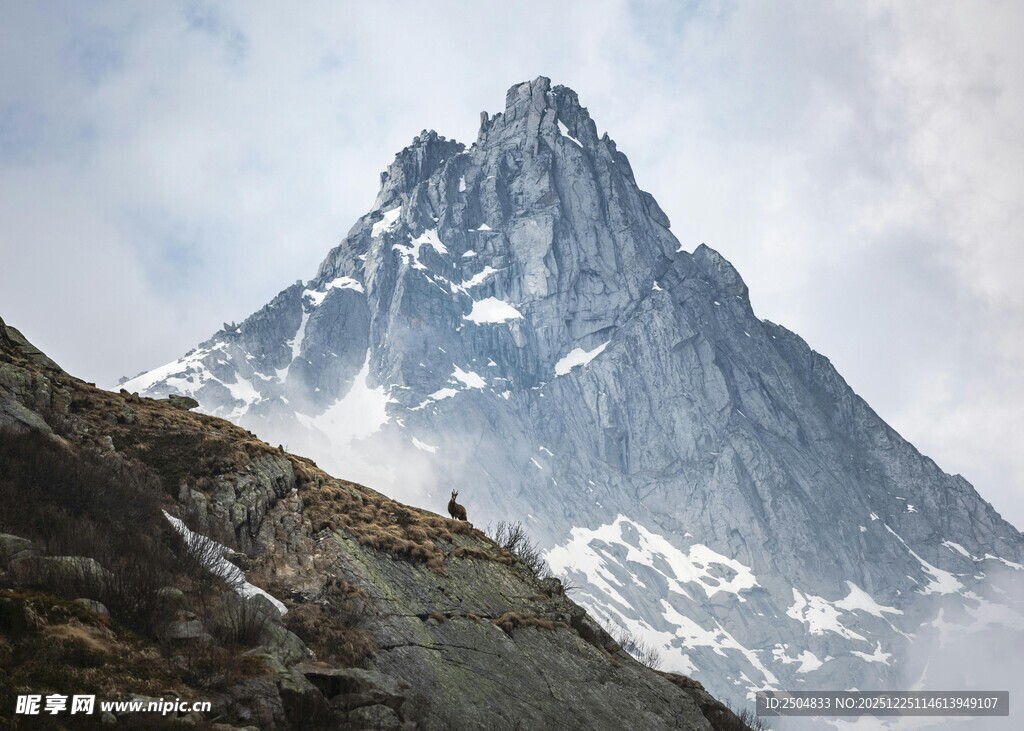 巍峨雪山壮丽景致