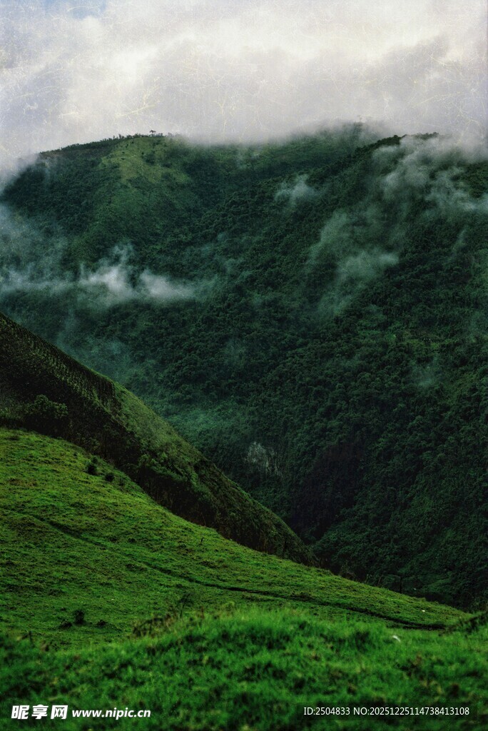 青山云雾间的翠绿景致
