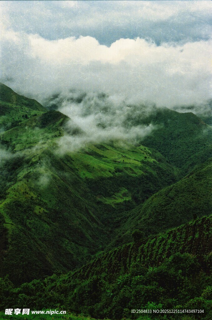 云雾缭绕的翠绿山间美景
