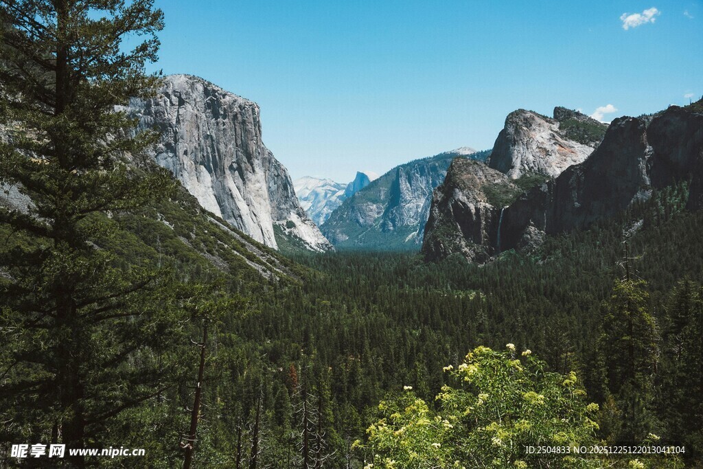 壮丽山谷间的森林与山脉