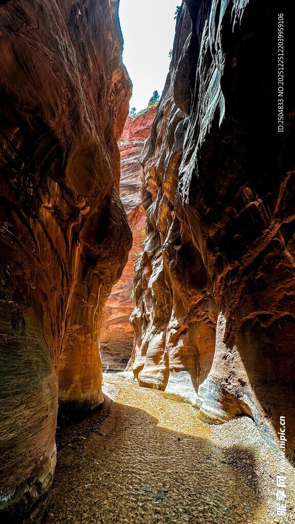 狭窄峡谷中的独特地貌景观