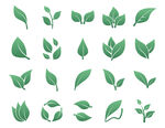 绿叶图案