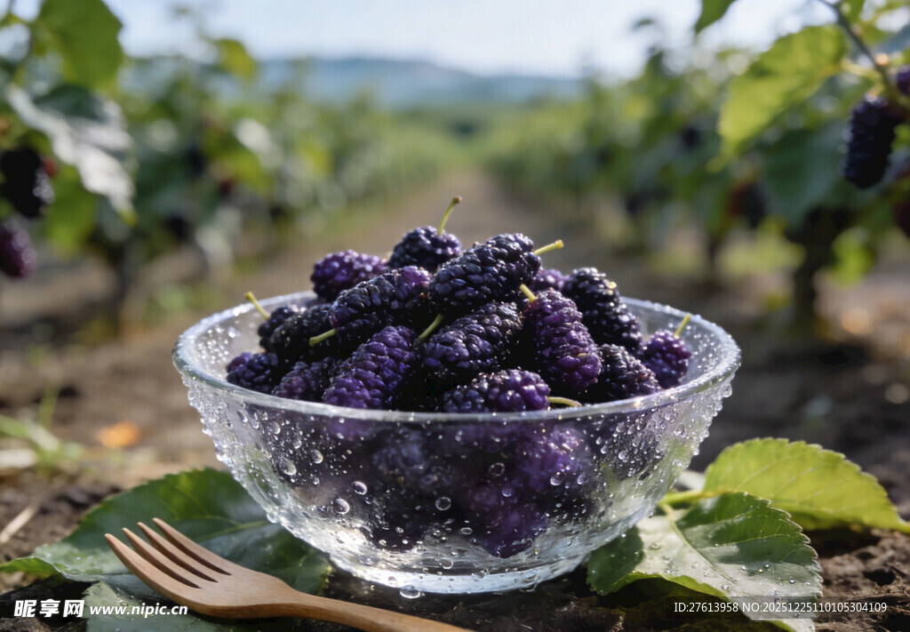 玻璃碗中的桑葚