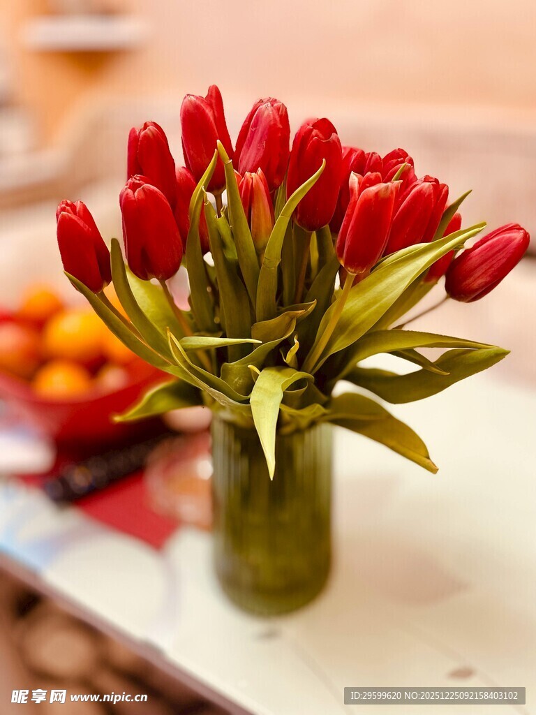 花瓶中的红色郁金香