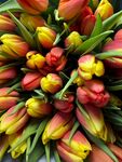 多彩郁金香花束