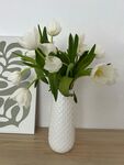 白色花瓶中的清新白郁金香