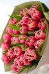 粉色郁金香花束
