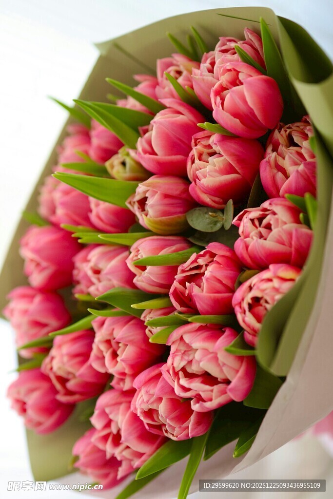 粉色郁金香花束