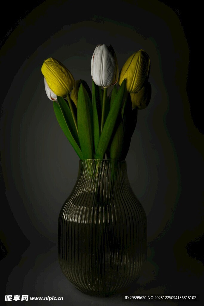 花瓶中的黄白郁金香