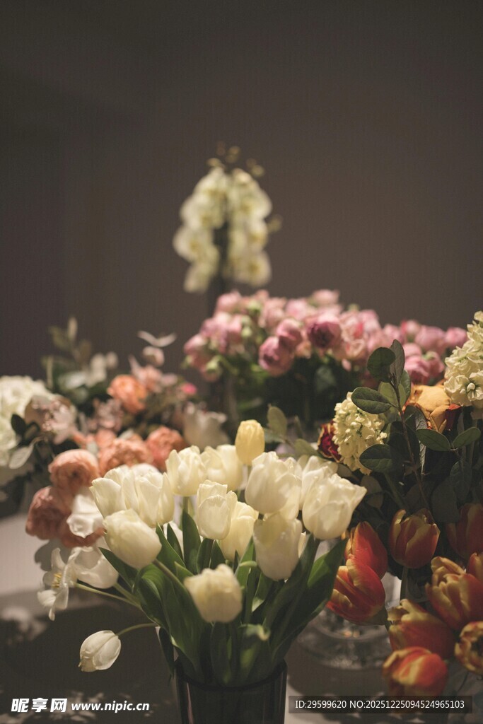 多彩鲜花装点美丽场景