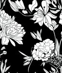 黑白花卉图案设计