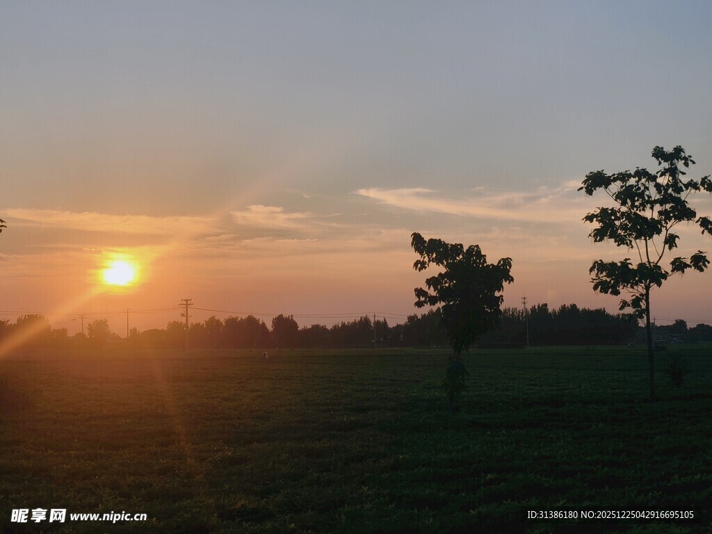 日落时分的田野风光