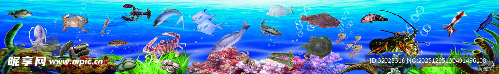 海底多彩鱼群景观