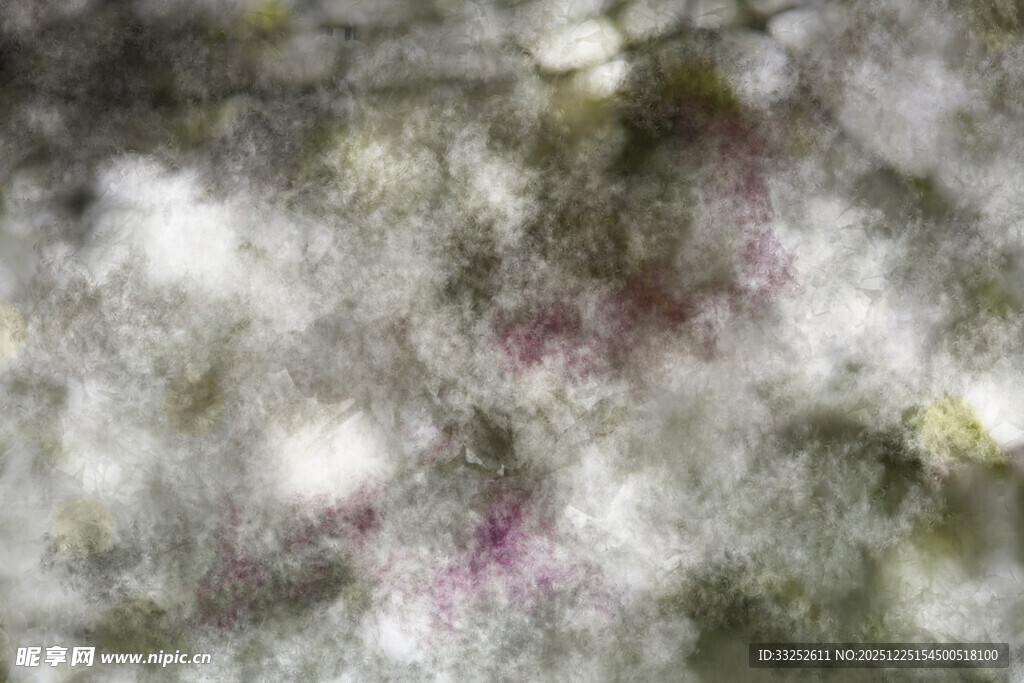 显微镜下的多彩细胞结构