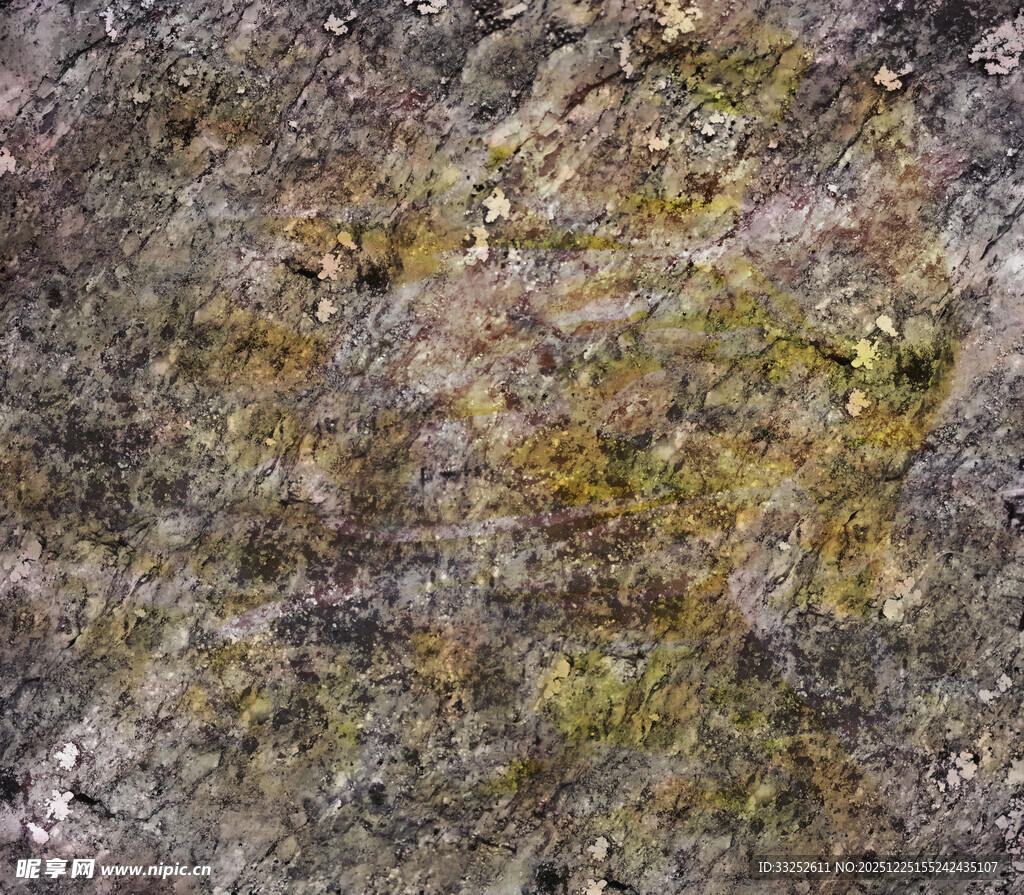 岩石上的斑驳苔藓景观