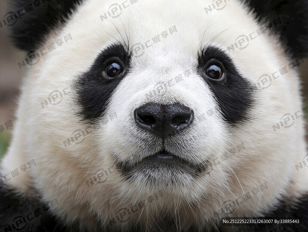 将背景去掉 png发给我