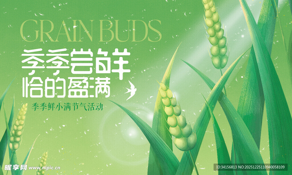 绿色纯天然背板