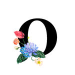 花卉装饰的字母O