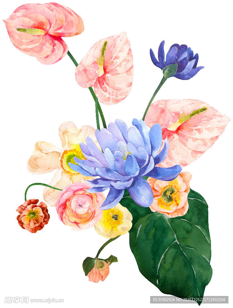 水彩绘多彩花卉组合