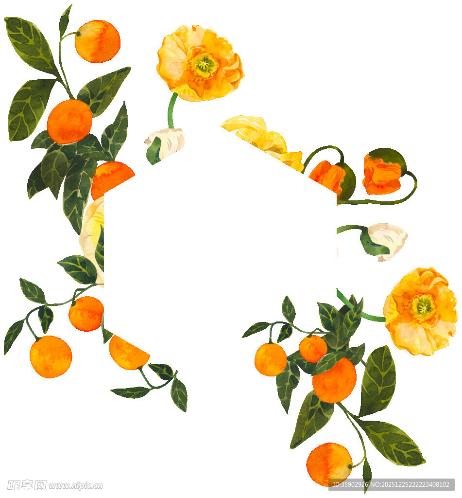 柑橘花卉装饰图案