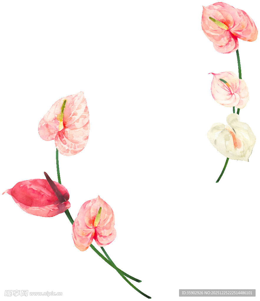 粉色白色仿真红掌花束