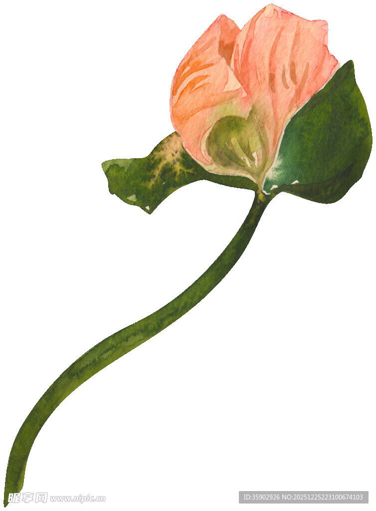 手绘粉色花朵清新雅致