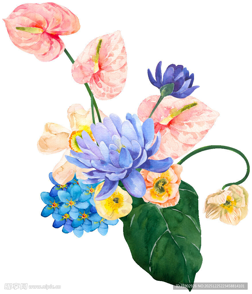 水彩绘多彩花卉组合