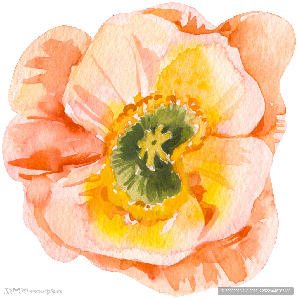 水彩绘粉色娇艳花朵