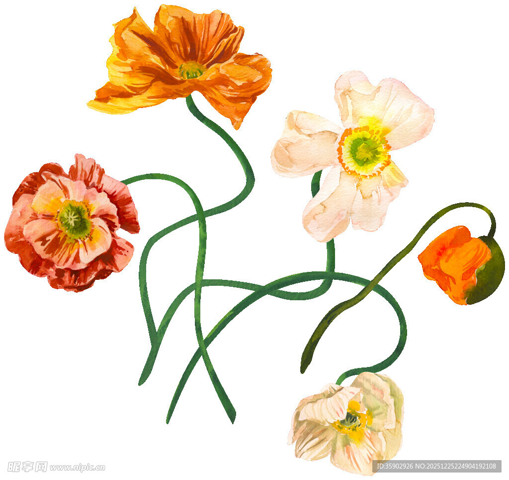 手绘多彩花插画