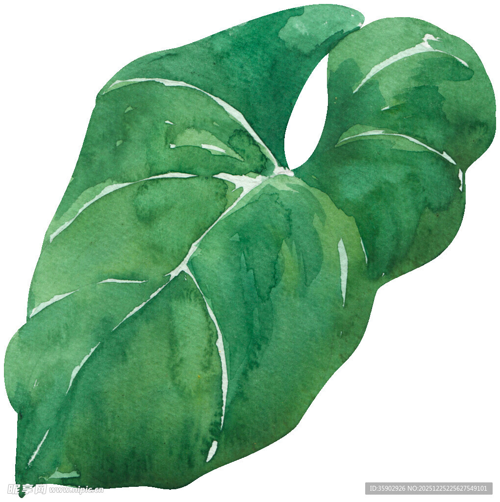 水彩绘制的翠绿叶片