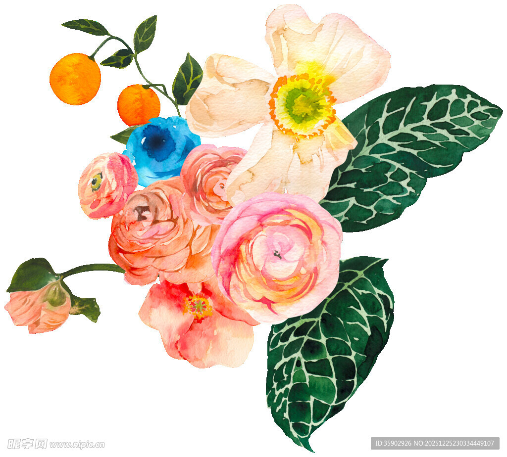 水彩绘多彩花卉组合