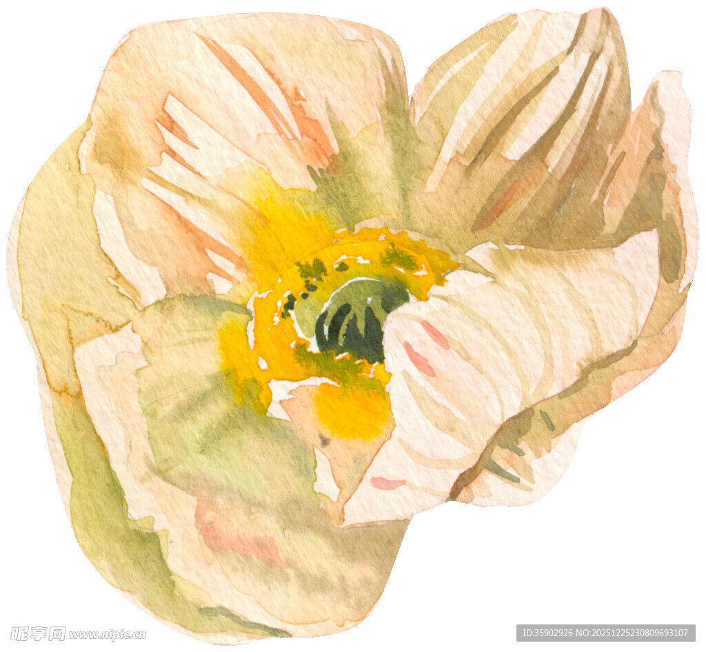 水彩绘就的柔美花朵