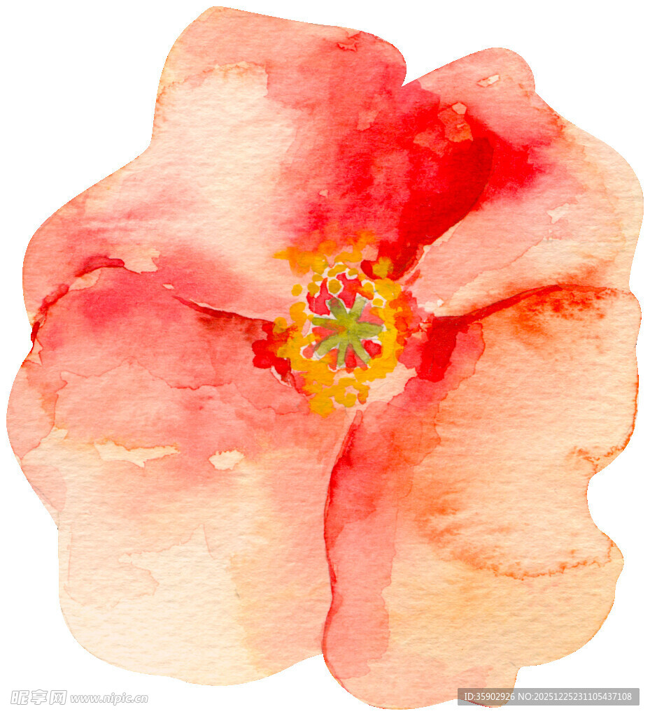 水彩绘粉色花朵