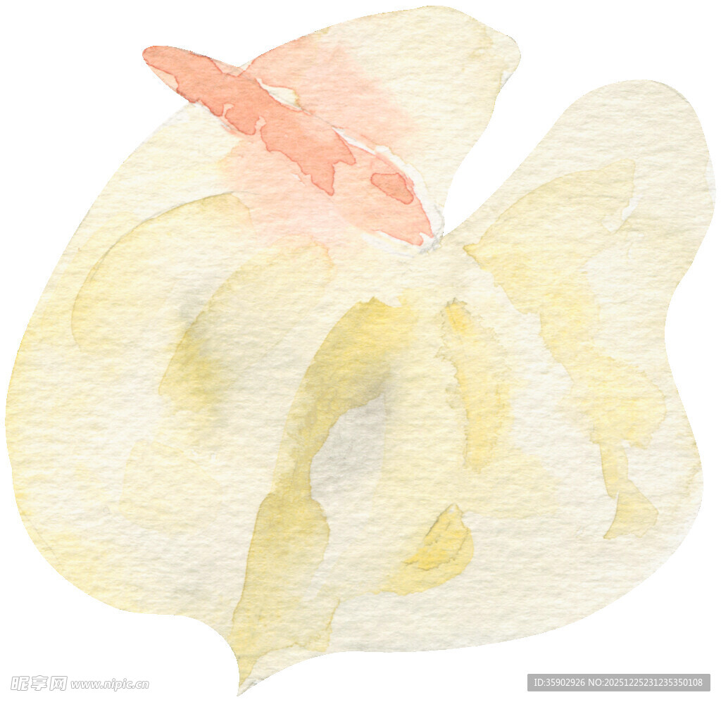 水彩绘就的柔美花朵