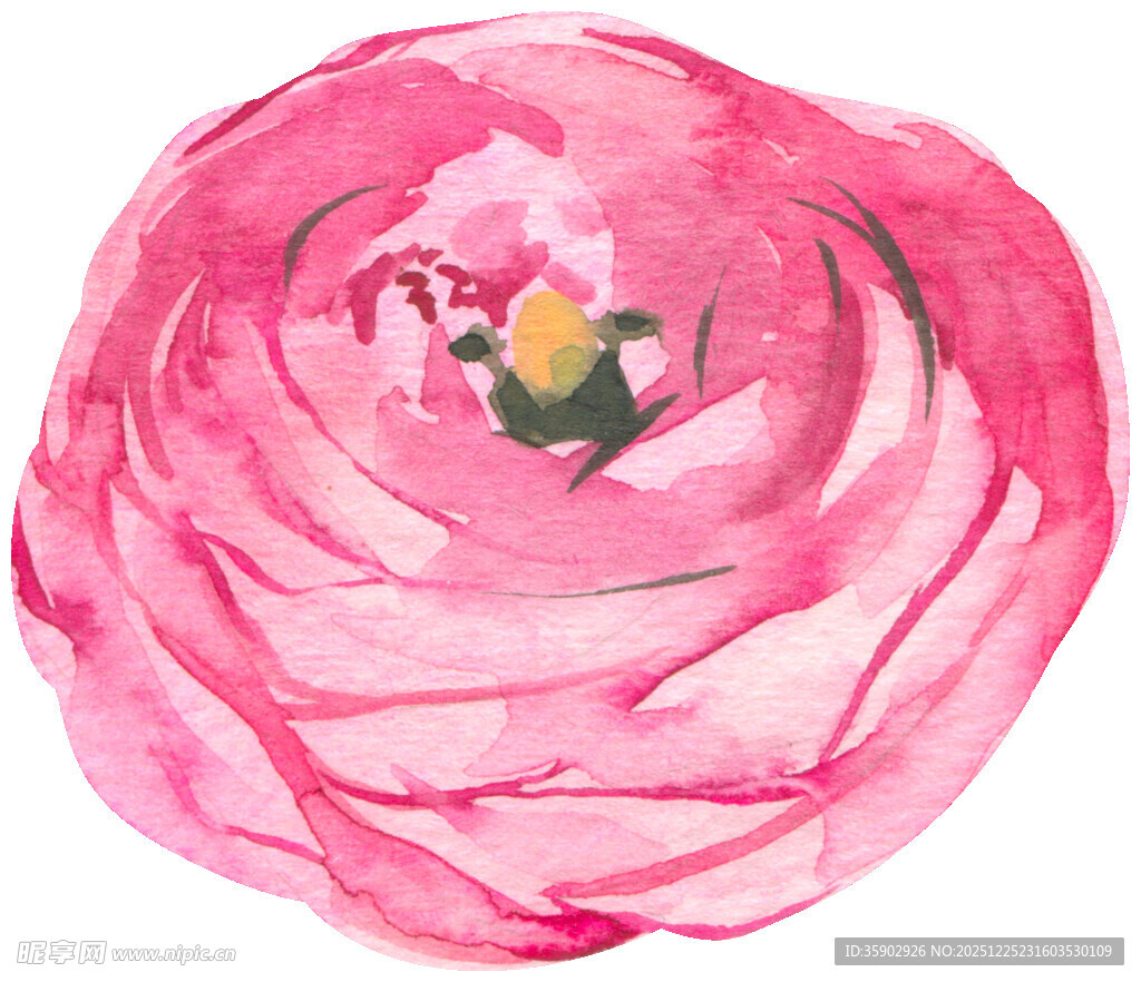 手绘粉色花朵水彩画