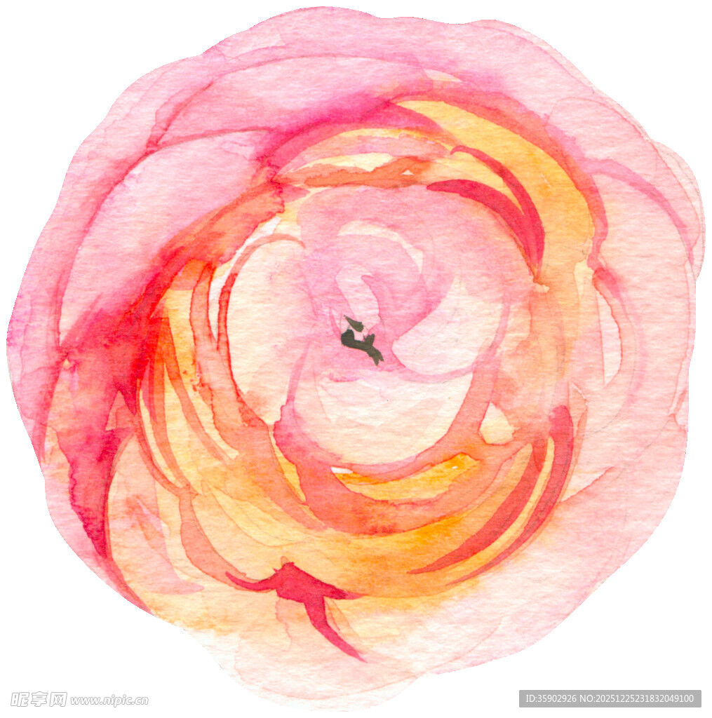 水彩绘粉色柔美花朵