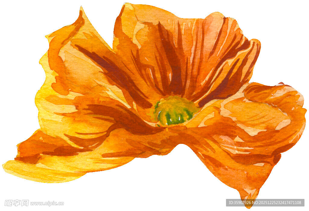 橙色花艺术画作