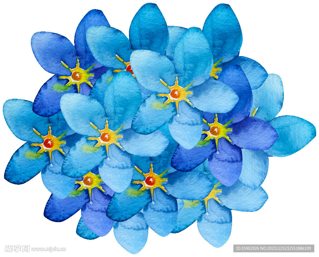 蓝色小花水彩画