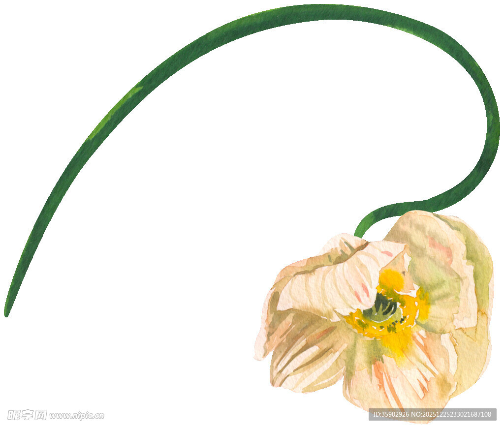 弯曲花茎上的淡黄色花朵