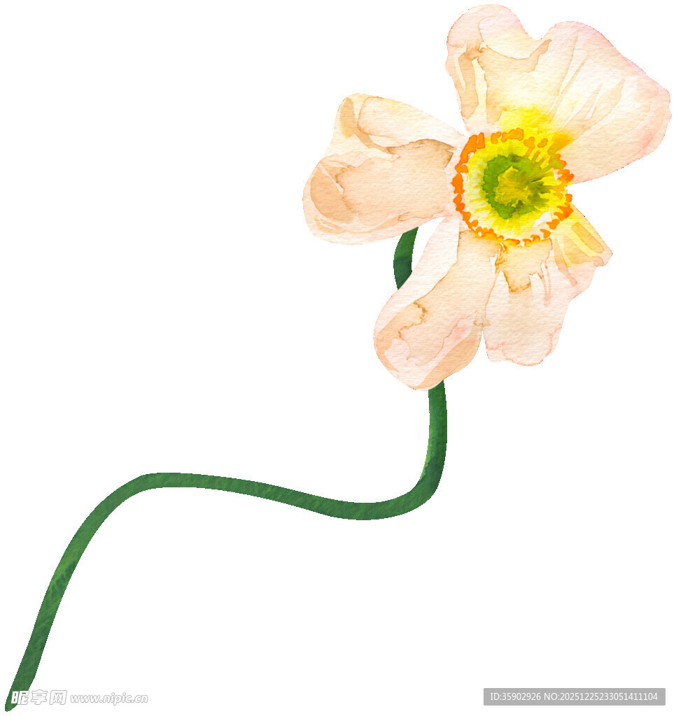 淡黄色花朵绿色花茎